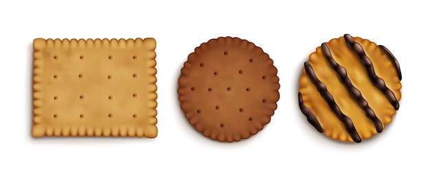 Free vector realistic set of crispy cracker cookies