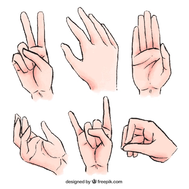 Free vector realistic set of hands with watercolor effect