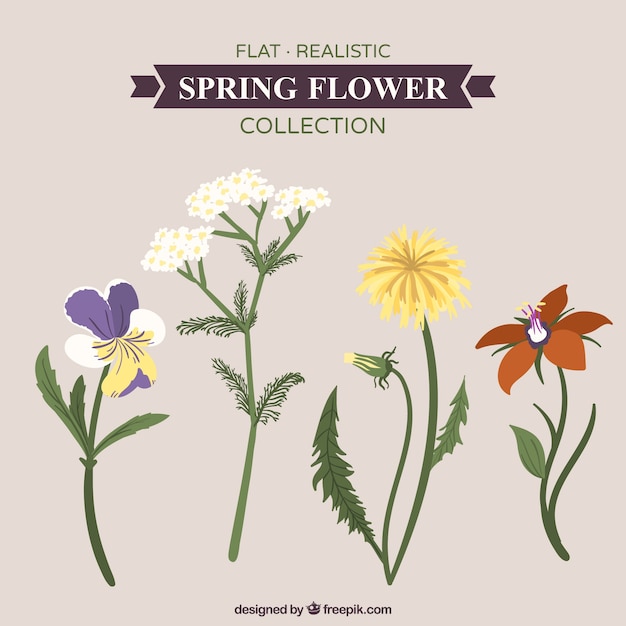 無料ベクター 美しい春の花の現実的なセット