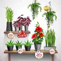 Free vector realistic shop shelf with house plants and flowers