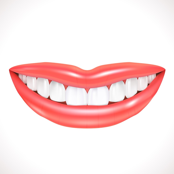 Free Vector realistic smile isolated