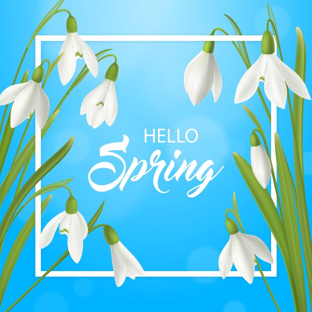 Realistic snowdrop flower hello summer poster background with flat frame ornate text and natural spring flowerage  illustration