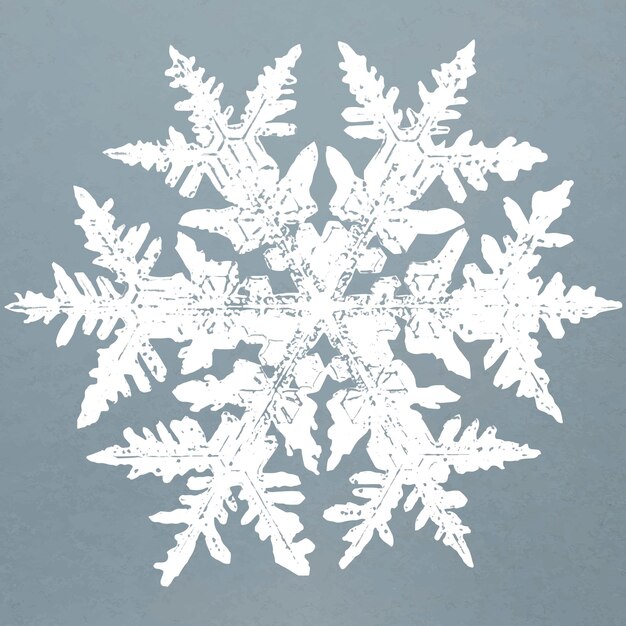 Realistic snowflakes element vector in blue background