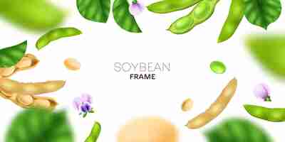 Free vector realistic soybean frame with green and white soy beans and flowers vector illustration