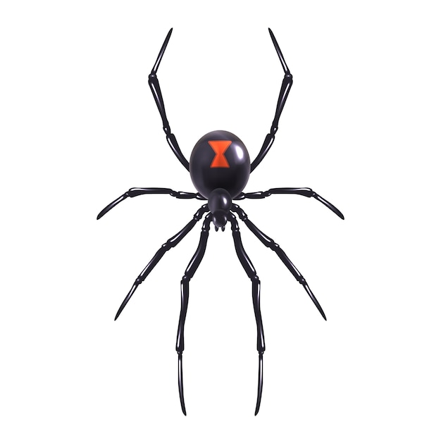 Realistic spider isolated