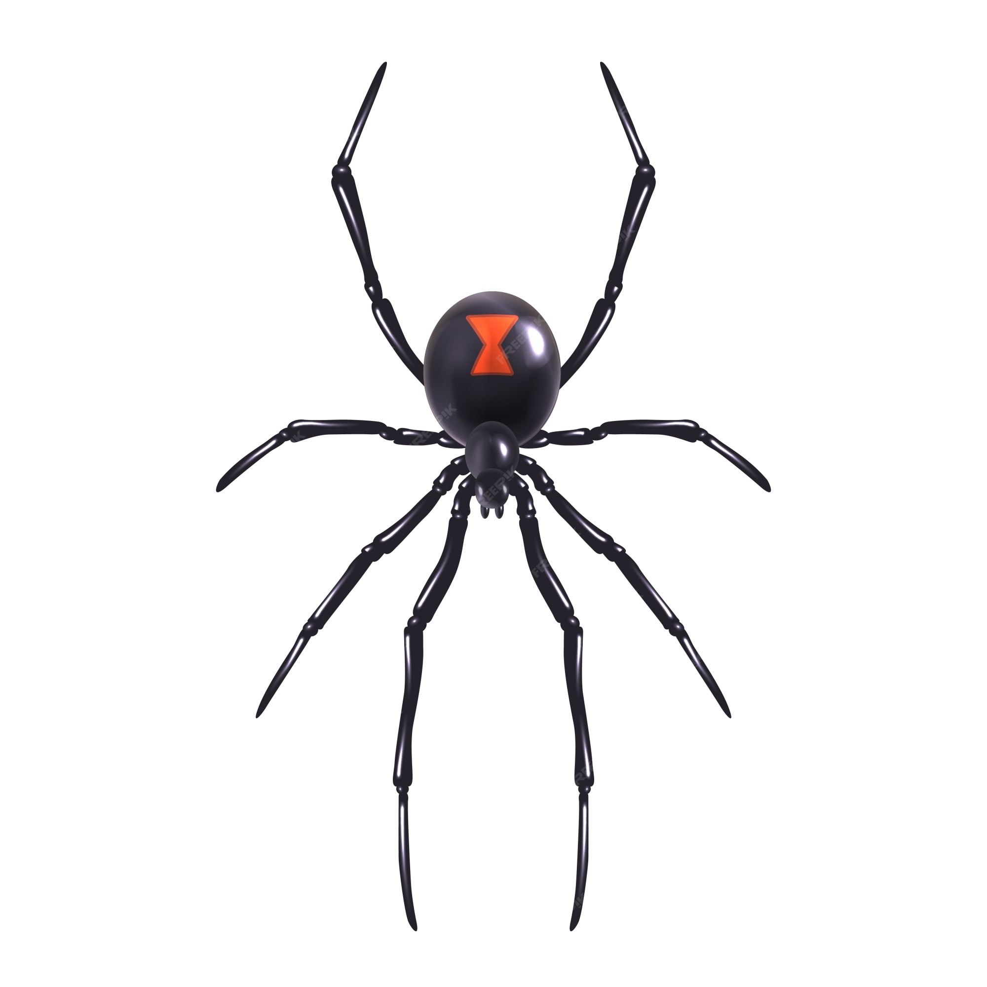 How To Draw A Realistic Spider