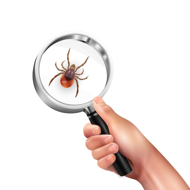 Free vector realistic spider mite lens composition magnifying glass in a mans hand with mite vector illustration