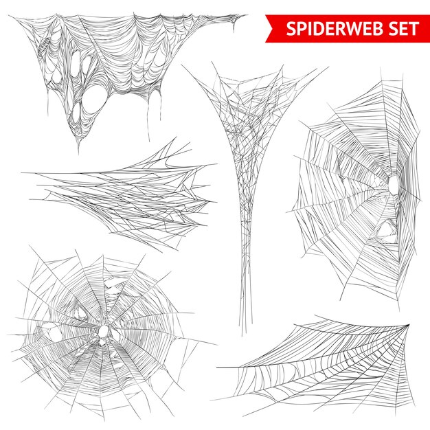 Realistic Spider Web Cobweb Set