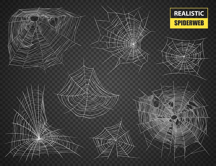 Free Vector realistic spiderweb isolated set