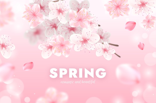 Бесплатное векторное изображение Реалистичный весенний фон с цветущей вишней