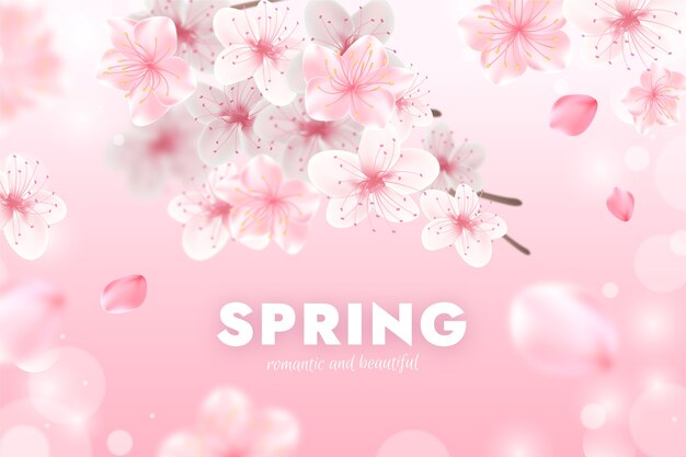 Realistic spring background with cherry blossom