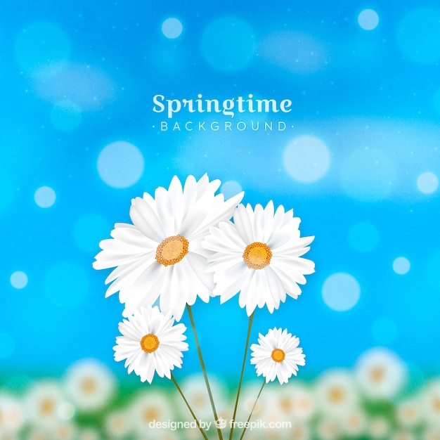 Free vector realistic spring background
