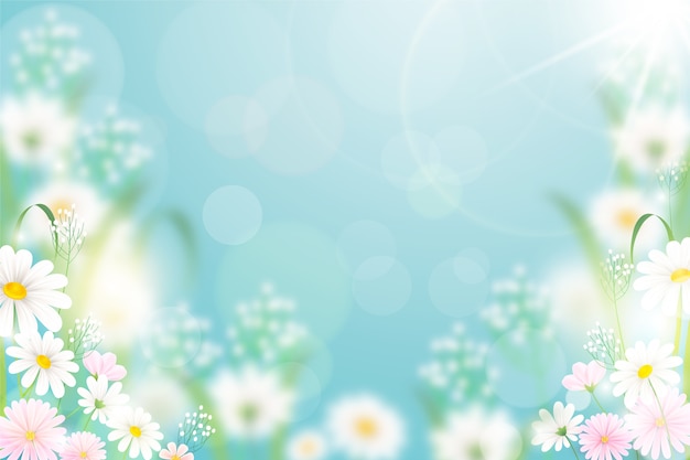 Spring Background Images - Free Download on Freepik