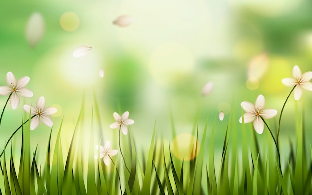 Spring Flowers Images - Free Download on Freepik