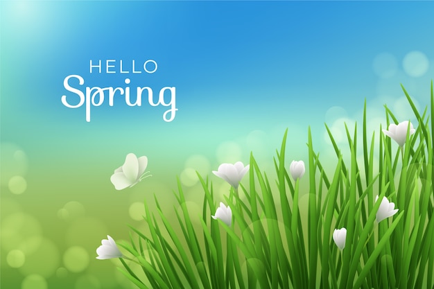 Free vector realistic spring background