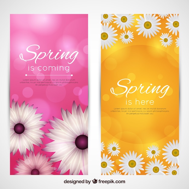 Free vector realistic spring banner web collection