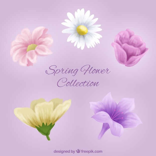 Realistic spring flower collection