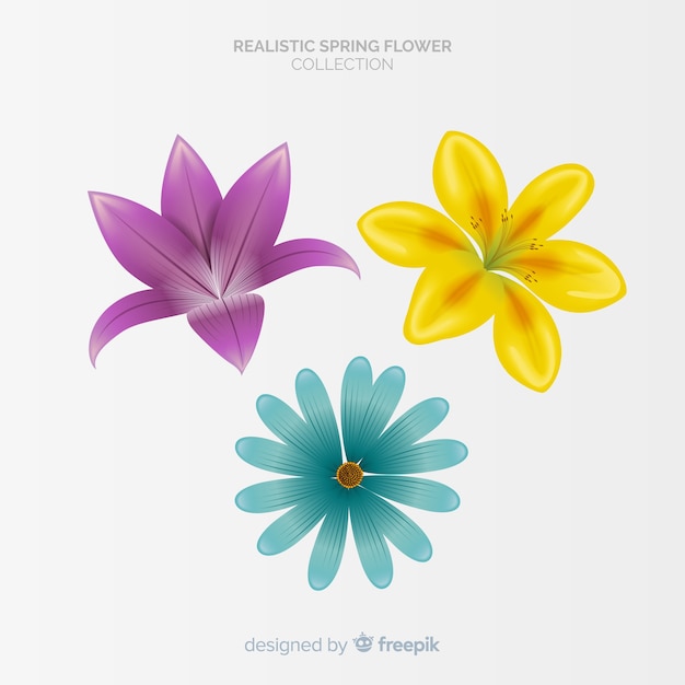 Realistic spring flower collection