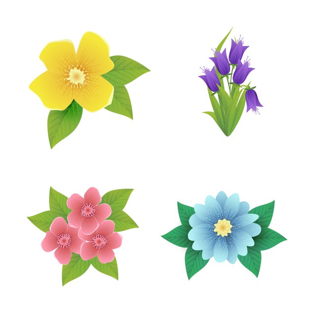 Realistic spring flower collection