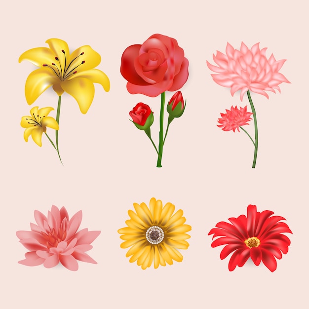 Vettore gratuito collezione di fiori primaverili realistici