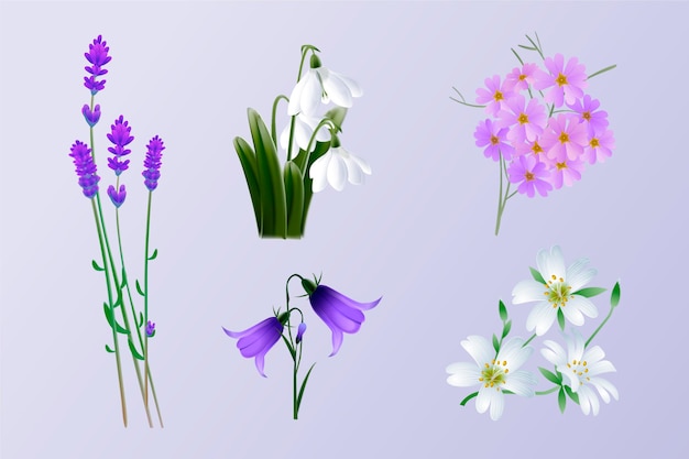 Realistic spring flower collection