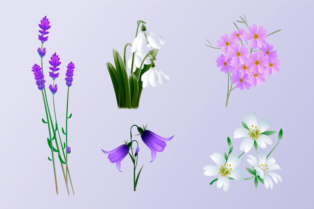 リアルな春の花コレクション