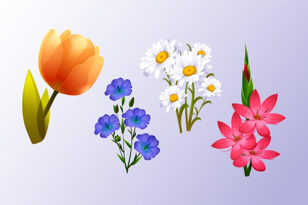 Realistic spring flower collection