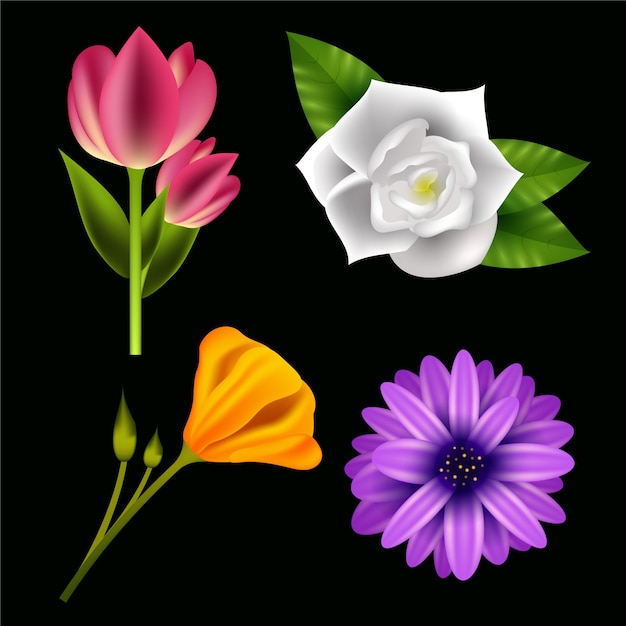 Realistic spring flowers collection concept