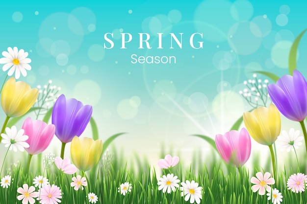 Free vector realistic spring time background