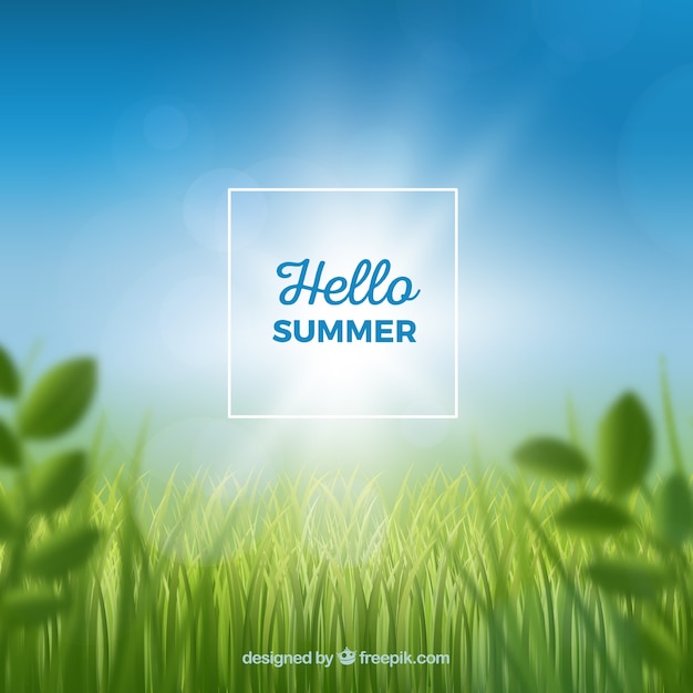 Realistic summer background with grass