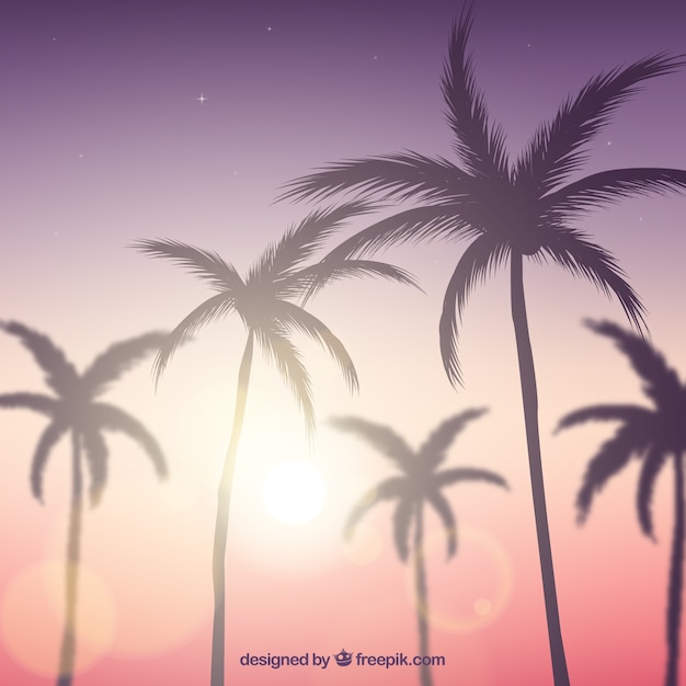 Realistic summer sunset with palm silhouettes