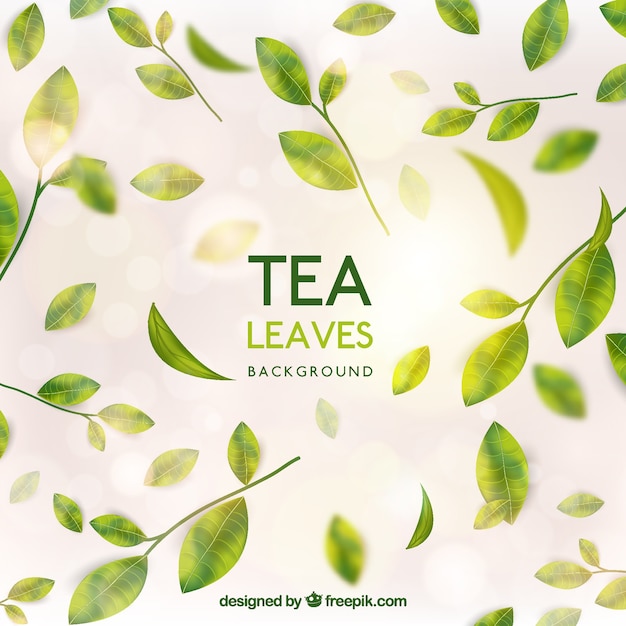 Realistic tea leaves background