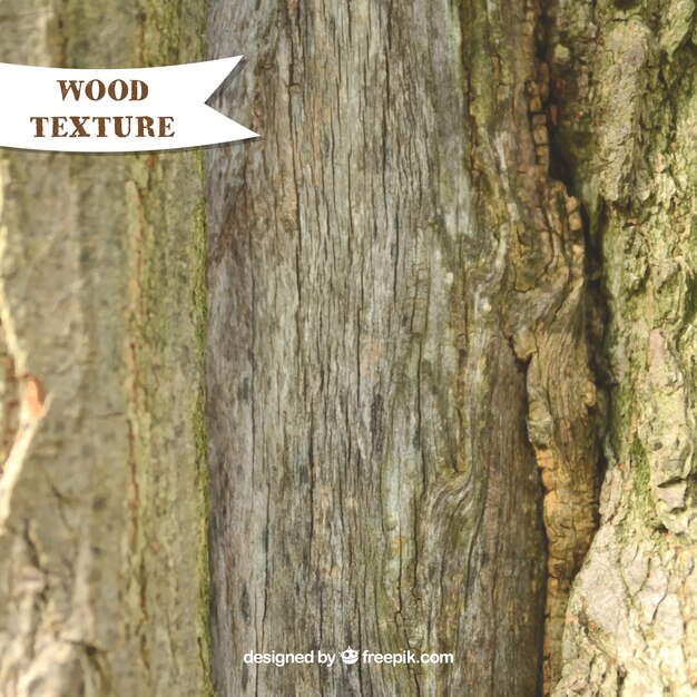 Реалистичная текстура стволовой древесины