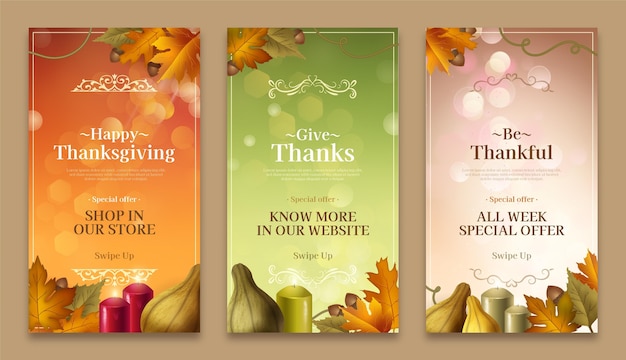 Free vector realistic thanksgiving instagram stories collection