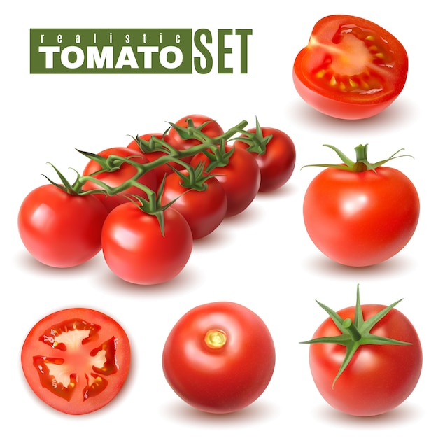 Realistic tomato set of isolated images with single tomato fruits and groups with shadows and text