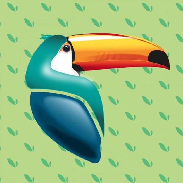 Realistic toucan