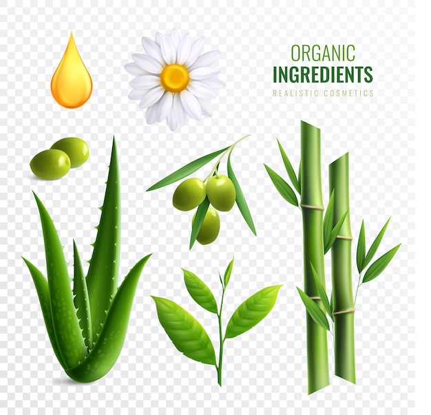 Free vector realistic transparent organic cosmetics ingredients icon set