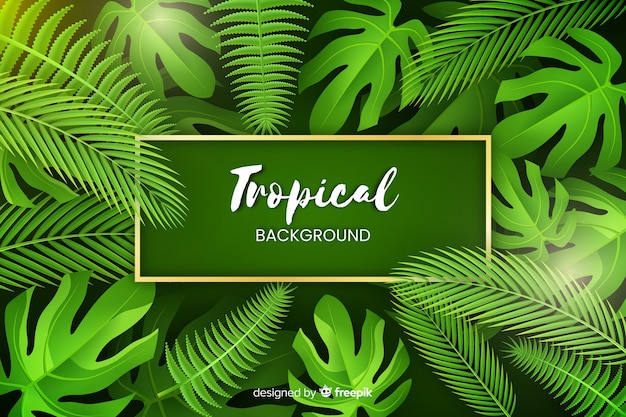 Realistic tropical background