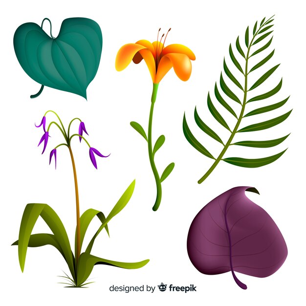 Realistic tropical flowers and leaves
