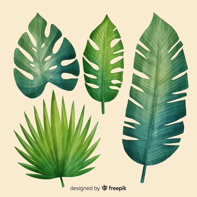 Бесплатное векторное изображение Реалистичная коллекция тропических листьев