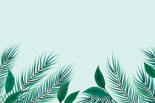 Free vector realistic tropical leaves background