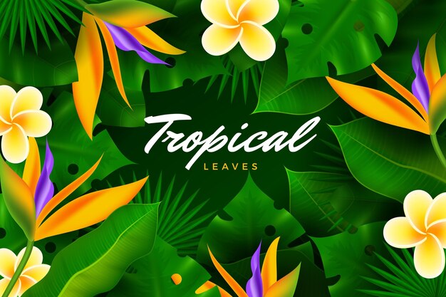 Realistic tropical leaves background