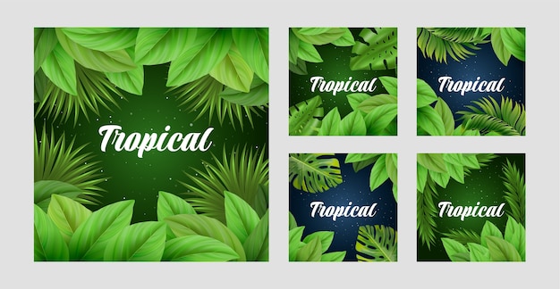 Realistic tropical leaves ig post collection