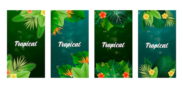 Free vector realistic tropical leaves ig stories collection