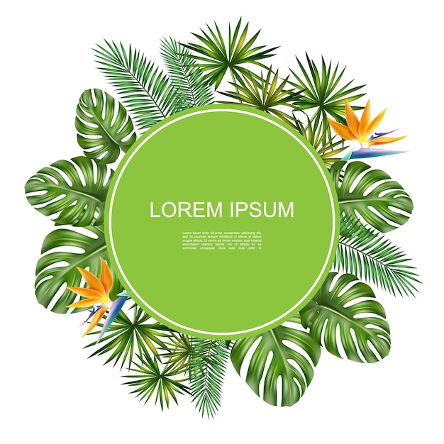 Реалистичная тропическая естественная круглая концепция с круглой рамкой для текста, цветочная пальма стрелиция и листья монстеры, изолированных иллюстрация