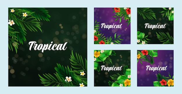 Free vector realistic tropical