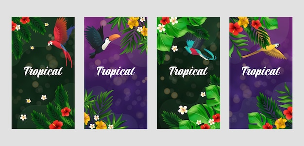 Free vector realistic tropical