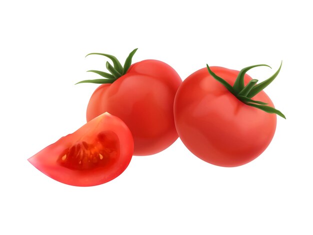 현실적인 두 개의 빨간색 전체 토마토와 흰색 배경 벡터 일러스트 레이 션에 한 조각