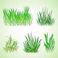 Бесплатное векторное изображение Реалистичные виды травы