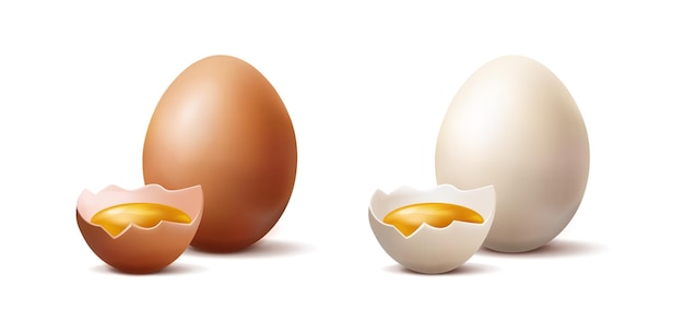 Download Eggs PNG Image for Free